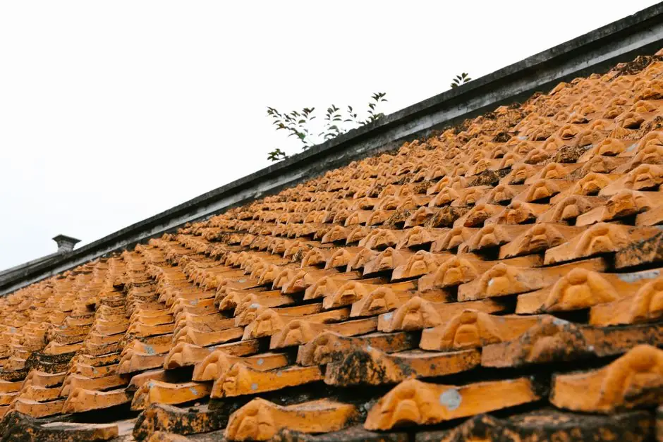 Why Texas homeowners repair instead of replace